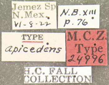 Media type: image;   Entomology 24996 Aspect: labels